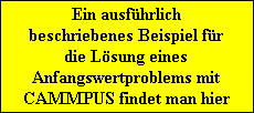 Ein ausfhrlich
beschriebenes Beispiel fr
die Lsung eines
Anfangswertproblems mit
CAMMPUS findet man hier